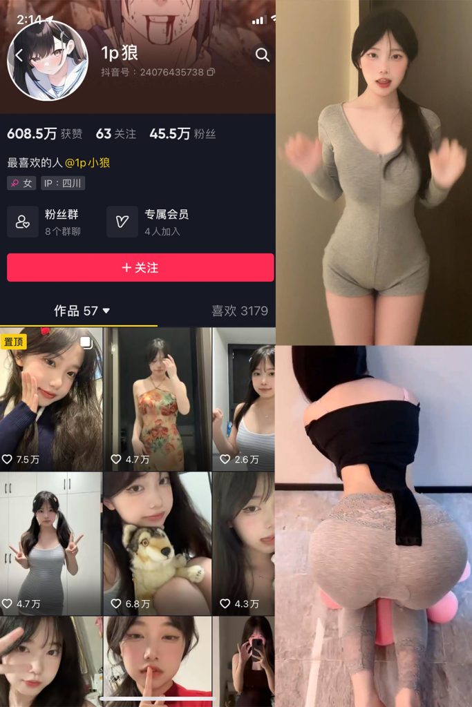 抖音 1p狼 微密圈 NO.008期 【17P15V】